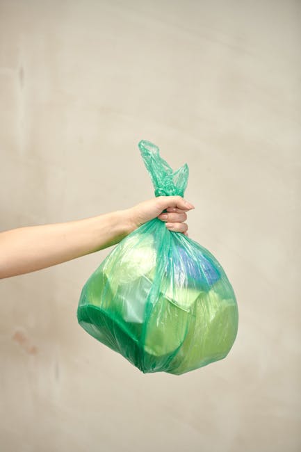 What to know when rubbish collection is delayed in Willesden